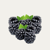 Blackberry Fragance Oil