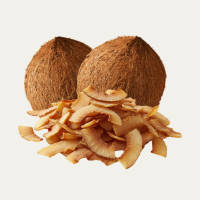 Toasted Coconut Fragance Oil