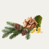 Forest Glow Fragance Oil