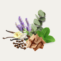 Frosted Bite Fragance Oil