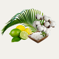 Hello Beaches Fragance Oil