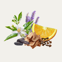 Hocus Pocus Fragance Oil