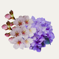 Love Spell Fragance Oil