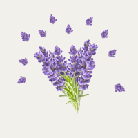 Loveander Fragance Oil