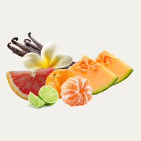 Spring Bloom Fragance Oil