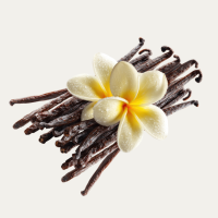 Vanilla Fragance Oil