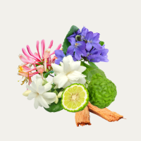 Wild Blossom Fragance Oil