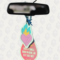 Bhela Car Air Freshner